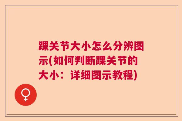 踝关节大小怎么分辨图示(如何判断踝关节的大小:详细图示教程) 踝关节大小怎么分辨图示(如何判断踝关节的大小:详细图示教程)