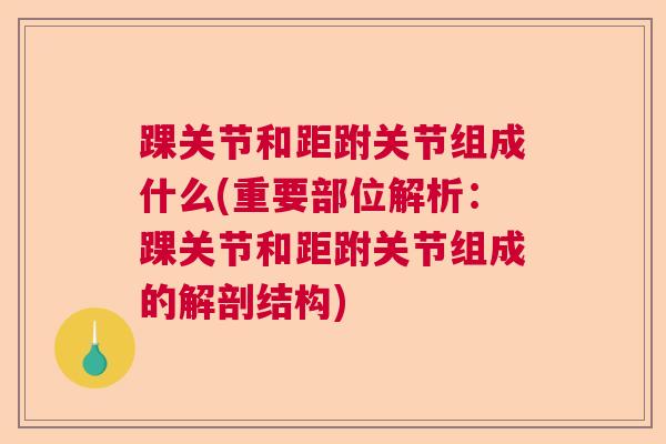 踝关节和距跗关节组成什么(重要部位解析：踝关节和距跗关节组成的解剖结构)