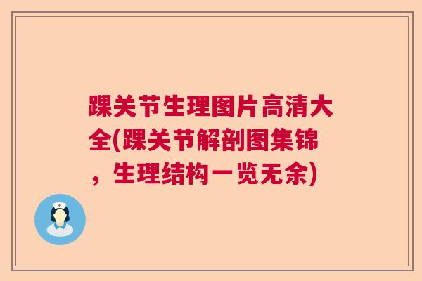 踝关节生理图片高清大全(踝关节解剖图集锦，生理结构一览无余)