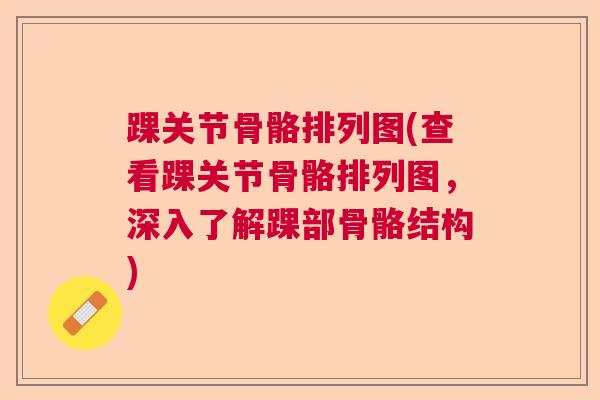 踝关节骨骼排列图(查看踝关节骨骼排列图,深入了解踝部骨骼结构) 踝关节骨骼排列图(查看踝关节骨骼排列图,深入了解踝部骨骼结构)