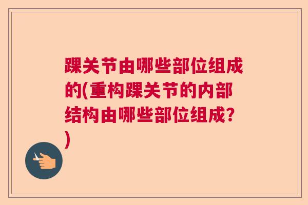 踝关节由哪些部位组成的(重构踝关节的内部结构由哪些部位组成？)