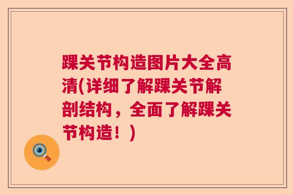 踝关节构造图片大全高清(详细了解踝关节解剖结构，全面了解踝关节构造！)