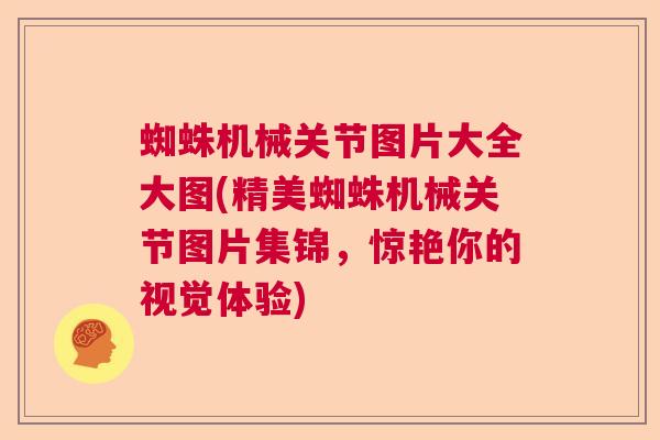 蜘蛛机械关节图片大全大图(精美蜘蛛机械关节图片集锦，惊艳你的视觉体验)