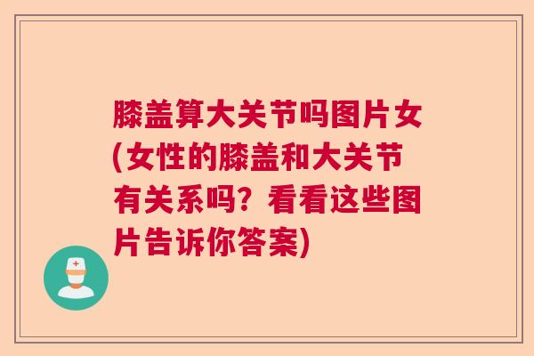 膝盖算大关节吗图片女(女性的膝盖和大关节有关系吗？看看这些图片告诉你答案)