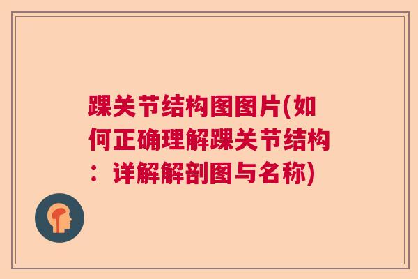 踝关节结构图图片(如何正确理解踝关节结构:详解解剖图与名称) 踝关节结构图图片(如何正确理解踝关节结构:详解解剖图与名称)