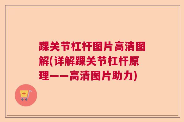 踝关节杠杆图片高清图解(详解踝关节杠杆原理——高清图片助力)