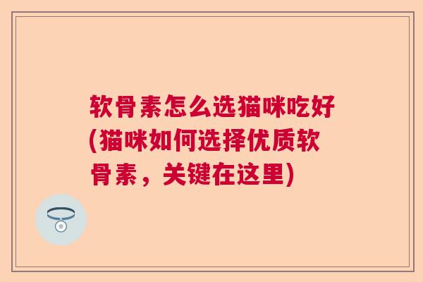 软骨素怎么选猫咪吃好(猫咪如何选择优质软骨素,关键在这里) 软骨素怎么选猫咪吃好(猫咪如何选择优质软骨素,关键在这里)