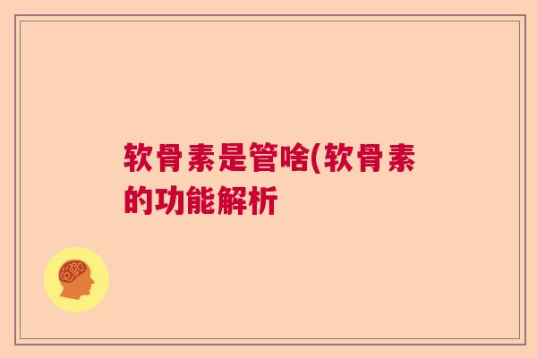 软骨素是管啥(软骨素的功能解析