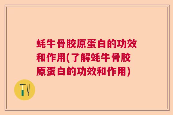 蚝牛骨胶原蛋白的功效和作用(了解蚝牛骨胶原蛋白的功效和作用)
