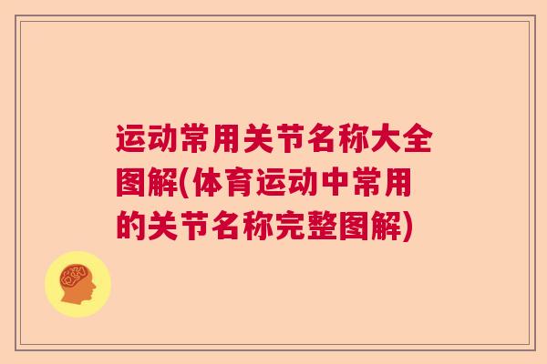 运动常用关节名称大全图解(体育运动中常用的关节名称完整图解)