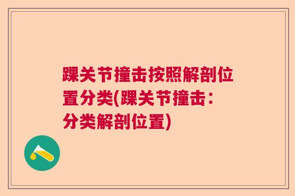 踝关节撞击按照解剖位置分类(踝关节撞击：分类解剖位置)
