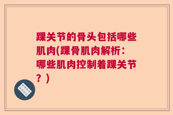 踝关节的骨头包括哪些肌肉(踝骨肌肉解析：哪些肌肉控制着踝关节？)