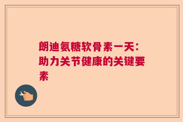 朗迪氨糖软骨素一天：助力关节健康的关键要素