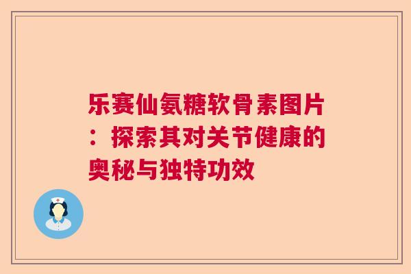 乐赛仙氨糖软骨素图片：探索其对关节健康的奥秘与独特功效