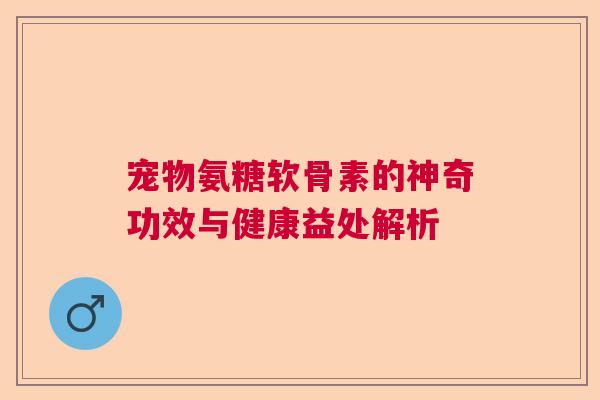 宠物氨糖软骨素的神奇功效与健康益处解析