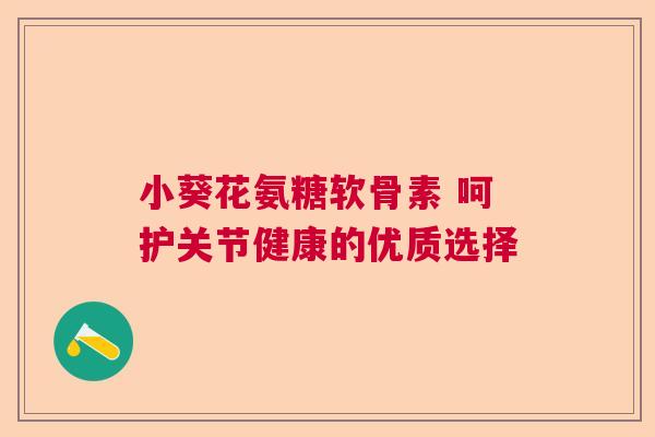 小葵花氨糖软骨素 呵护关节健康的优质选择