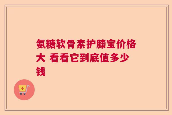 氨糖软骨素护膝宝价格大 看看它到底值多少钱