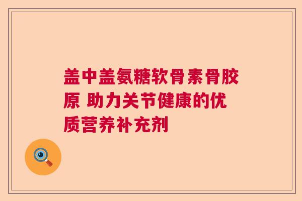 盖中盖氨糖软骨素骨胶原 助力关节健康的优质营养补充剂