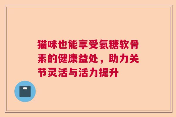 猫咪也能享受氨糖软骨素的健康益处，助力关节灵活与活力提升