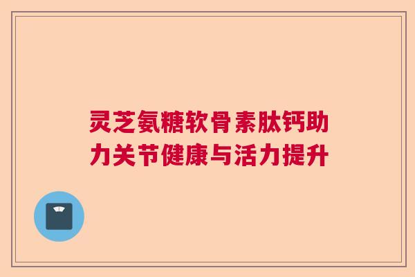 灵芝氨糖软骨素肽钙助力关节健康与活力提升