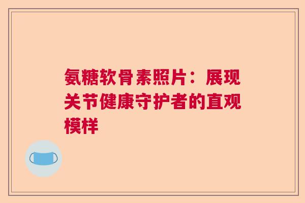 氨糖软骨素照片：展现关节健康守护者的直观模样