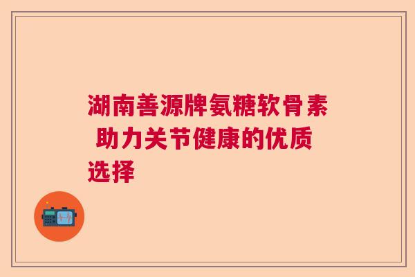 湖南善源牌氨糖软骨素 助力关节健康的优质选择 湖南善源牌氨糖软骨素 助力关节健康的优质选择