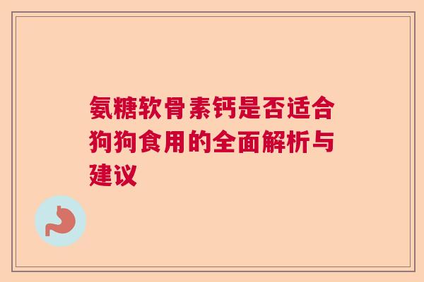 氨糖软骨素钙是否适合狗狗食用的全面解析与建议