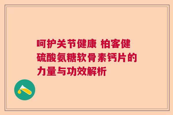 呵护关节健康 柏客健硫酸氨糖软骨素钙片的力量与功效解析