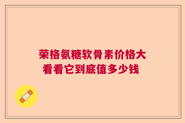 荣格氨糖软骨素价格大 看看它到底值多少钱