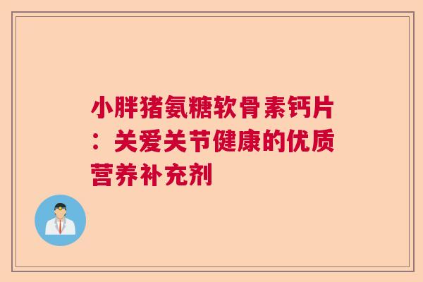 小胖猪氨糖软骨素钙片：关爱关节健康的优质营养补充剂