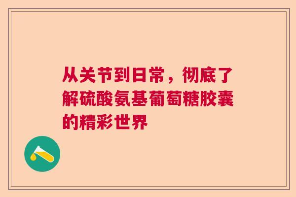 从关节到日常，彻底了解硫酸氨基葡萄糖胶囊的精彩世界