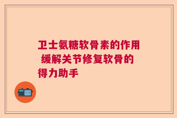 卫士氨糖软骨素的作用 缓解关节修复软骨的得力助手