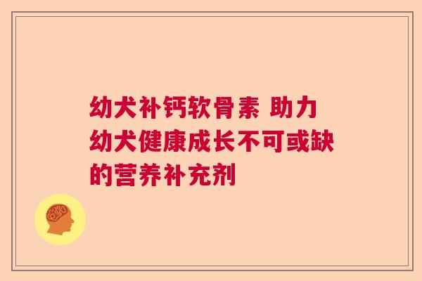 幼犬补钙软骨素 助力幼犬健康成长不可或缺的营养补充剂