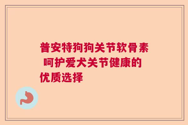 普安特狗狗关节软骨素 呵护爱犬关节健康的优质选择