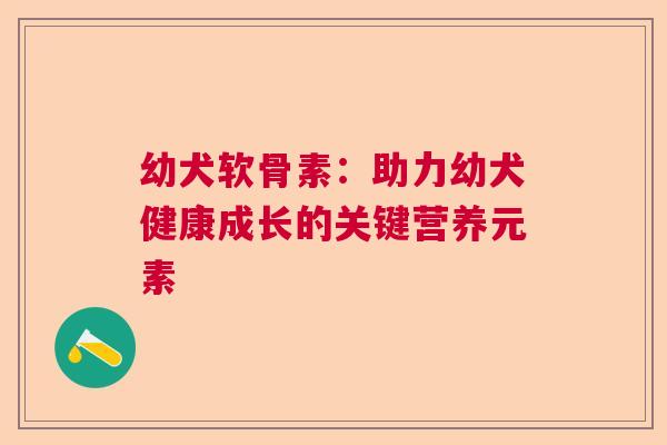 幼犬软骨素：助力幼犬健康成长的关键营养元素