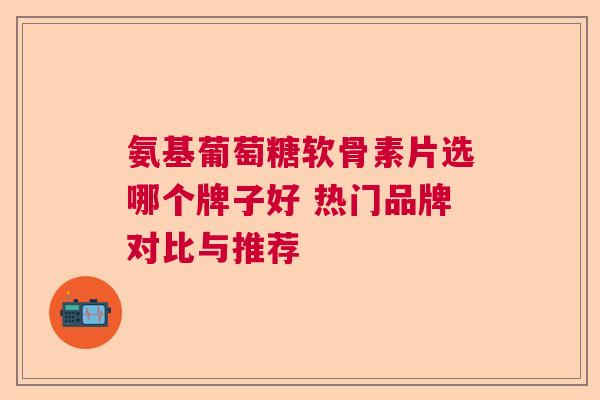 氨基葡萄糖软骨素片选哪个牌子好 热门品牌对比与推荐