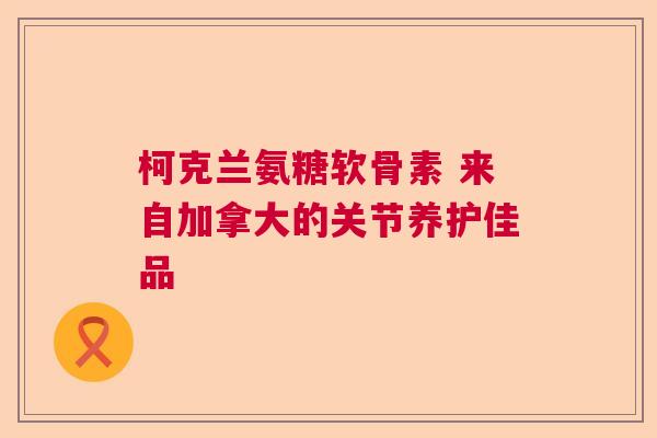 柯克兰氨糖软骨素 来自加拿大的关节养护佳品