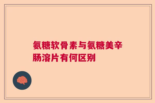 氨糖软骨素与氨糖美辛肠溶片有何区别