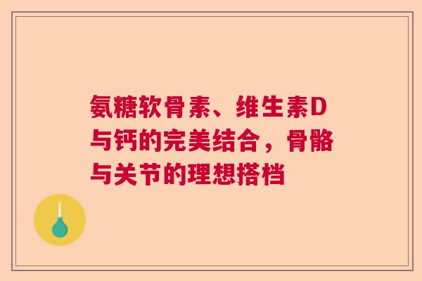 氨糖软骨素、维生素D与钙的完美结合，骨骼与关节的理想搭档