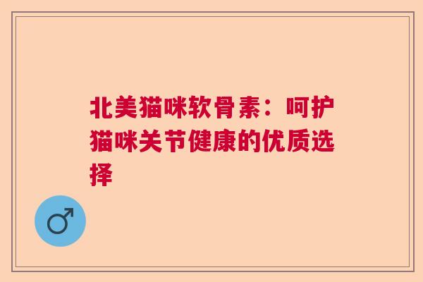 北美猫咪软骨素：呵护猫咪关节健康的优质选择