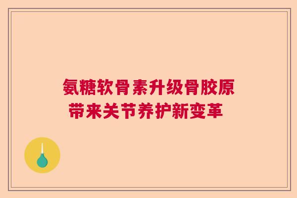 氨糖软骨素升级骨胶原 带来关节养护新变革 氨糖软骨素升级骨胶原 带来关节养护新变革
