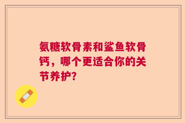 氨糖软骨素和鲨鱼软骨钙,哪个更适合你的关节养护? 氨糖软骨素和鲨鱼软骨钙,哪个更适合你的关节养护?