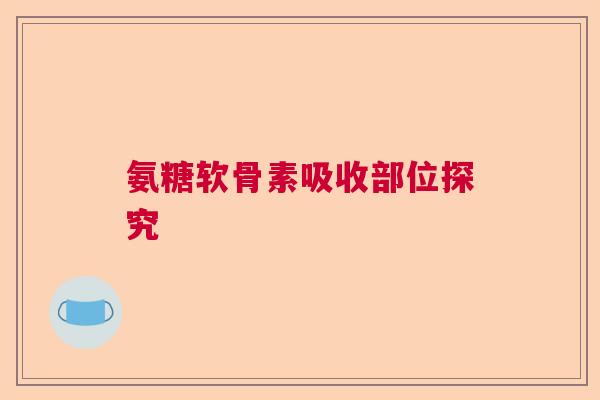 氨糖软骨素吸收部位探究