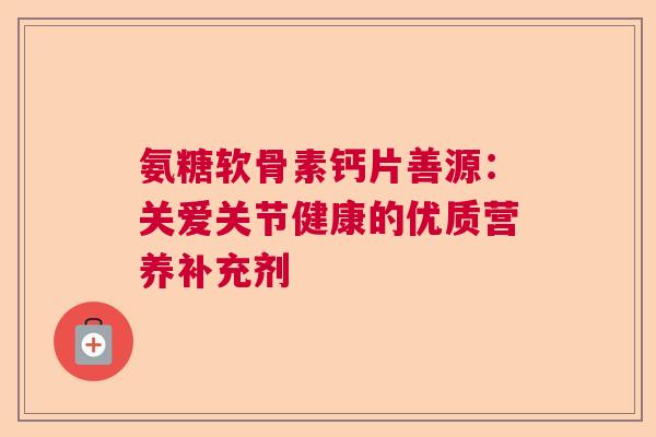 氨糖软骨素钙片善源：关爱关节健康的优质营养补充剂
