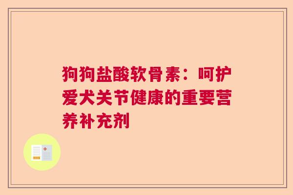 狗狗盐酸软骨素：呵护爱犬关节健康的重要营养补充剂
