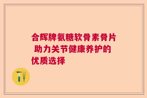 合辉牌氨糖软骨素骨片 助力关节健康养护的优质选择