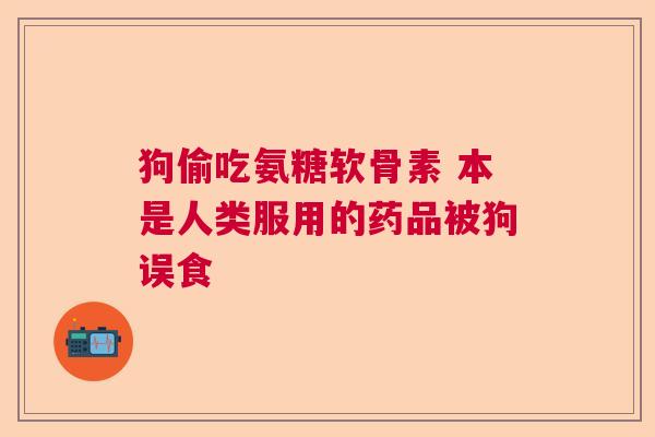 狗偷吃氨糖软骨素 本是人类服用的药品被狗误食