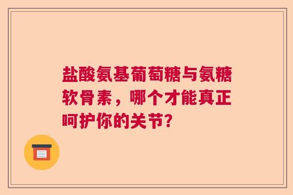 盐酸氨基葡萄糖与氨糖软骨素，哪个才能真正呵护你的关节？