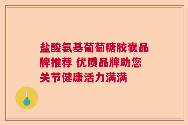 盐酸氨基葡萄糖胶囊品牌推荐 优质品牌助您关节健康活力满满