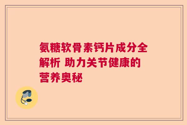 氨糖软骨素钙片成分全解析 助力关节健康的营养奥秘